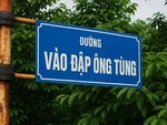 Ảnh vui 6-6: 'Không biết ông Tùng vẫn ổn chứ?!'