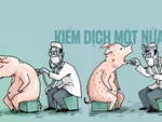 Kiểm dịch động vật: Chú heo bị bệnh... một nửa!