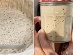 Nuôi men nở làm 'thú cưng' đang nở rộ: Cũng lạ lắm à nghen!