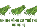Tại sao người trẻ dạo này nói 'Anh em mình cứ thế thôi hẹ hẹ hẹ'?