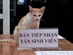 Ảnh vui 13-7: Tiếp nhận sinh viên mà mặt này hơi quạu nha!