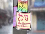 Mẹ con Tấm Cám lên thành phố lập nghiệp