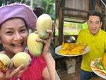Những sao Việt bỏ phố về vườn làm nông dân