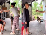 Chú chó đáo để khi thấy ông chủ bị 'nóc nhà' nạt nộ