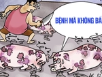 Heo bệnh không muốn bị mang tiếng là heo bẩn