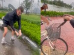 Anh Tây bắt được cá lóc vượt cạn, gặp ngay ông chú xin về 'phóng sinh'