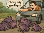 Thành ngữ ám chỉ người không sợ nguy hiểm này là gì?