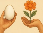 Thành ngữ quen thuộc này là gì? (P48)