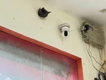 Ảnh vui 31-7: Chiếc camera chạy bằng pate, không tua lại được nhưng 'đắt giá'