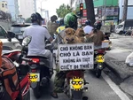 Ảnh vui 7-7: Lời tuyên ngôn của một thành viên 'hội yêu động vật'