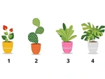 Quiz: Tuổi tinh thần của bạn già hay trẻ?