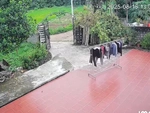 Sào phơi đồ bỏ đi vì 'giận dỗi' chủ nhà