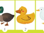 Quiz: Bạn là người kiên định, thực tế hay sáng tạo, lạc quan?