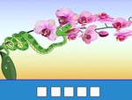 Thử tài nhanh trí với đuổi hình bắt chữ (P259)