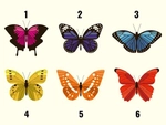 Quiz: Bạn sáng tạo, tự tin hay tốt bụng, cầu toàn?