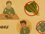 Tục ngữ nói về tầm quan trọng của rau quả trong bữa ăn này là gì?