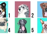 Quiz: Bạn cởi mở, hào phóng hay là người lạc quan?