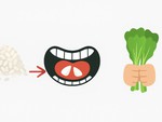 Tục ngữ thể hiện tinh thần đoàn kết, gắn bó này là gì?