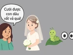 Thành ngữ khó nhằn này là gì? (P11)