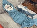 Ảnh vui 8-9: 'Baby Shark, doo doo doo doo'