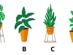 Quiz: Bạn nhạy cảm hay là người cởi mở, lạc quan?