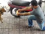 Chú chó giật bắn mình vì ông chú bán bánh mì kỳ lạ