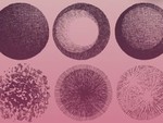 Quiz: Bạn để lý trí hay trái tim dẫn lối trong tình yêu?