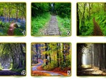 Quiz: Tính cách nổi bật nhất của bạn là gì?