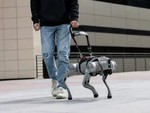 Công ty này đang tuyển người dắt chó robot đi dạo, lương lên đến 3 triệu/ca