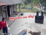 Trang điểm có tí mà suýt 'bỉ ngạn vàng, 3 mũi 900 ngàn'