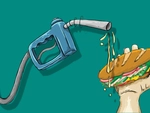 Nhai bánh mì ngắm biểu đồ giá xăng