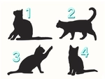 Quiz: Chọn hình bóng mèo để khám phá những điểm mạnh nổi bật của bạn