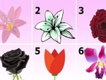 Quiz: Bạn cuốn hút, sáng tạo hay giàu nghị lực?
