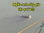 Cần thủ nổi quạu vì bị cá trêu ngươi