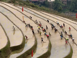 'Đua leo ruộng bậc thang' gây bão mạng