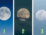 Quiz: Bạn là người tốt bụng, giàu lòng vị tha?