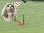 Pha đánh golf đỉnh cao khiến ai cũng phải trầm trồ