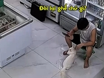 Chú mèo dùng chiêu 'mỹ nhân kế' để đòi lại chiếc ghế yêu thích