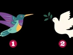 Quiz: Bạn được người khác nhìn nhận như thế nào?