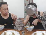 Cậu chủ bị mèo cho 'ăn đòn' vì tham ăn