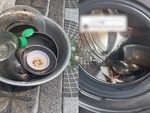 Thanh niên hướng dẫn cách rửa bát bằng máy giặt