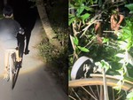 Thanh niên ngã sấp mặt vì quá tin tưởng vào chiếc đèn pha