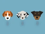 Quiz: Bạn luôn giữ thái độ ôn hòa?
