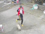 Shipper suýt ăn '3 mũi 900 ngàn' khi gặp chó dữ