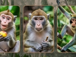 Quiz: Bạn là người ham học hỏi?