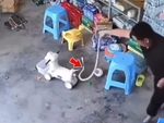 Ông chú tóm gọn 'bé Na' bằng tay không siêu đỉnh