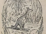 Mắt 10/10 mới thấy 3 con kangaroo trong hình