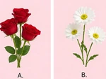 Quiz: Vận mệnh của bạn gắn liền với điều gì?