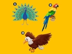 Quiz: Bạn bản lĩnh hay là người hướng ngoại?