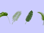 Quiz: Sứ mệnh cuộc đời bạn là gì?